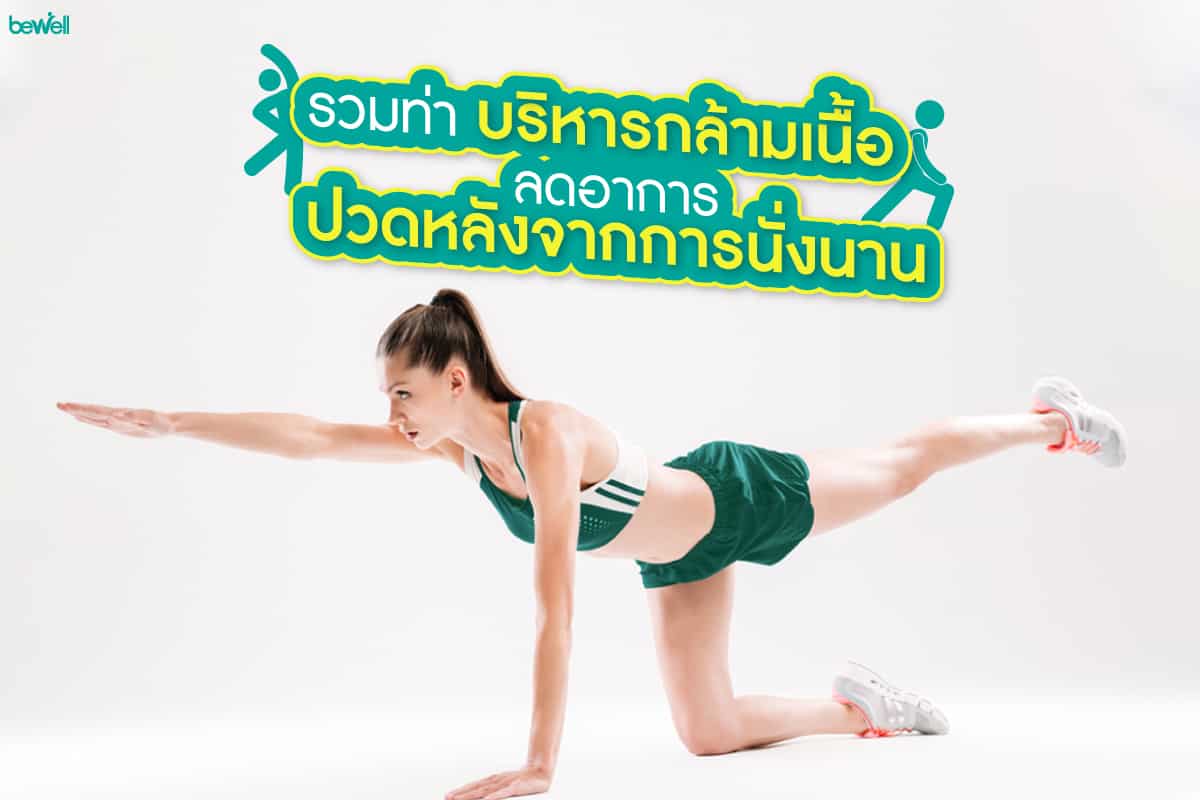 รวมท่าบริหารกล้ามเนื้อ ลดอาการปวดหลังจากการนั่งนาน - Bewell