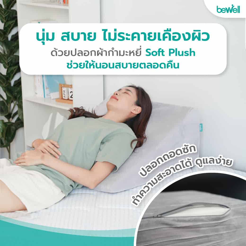 หมอนรองหลัง | Back Support Pillow - Bewell